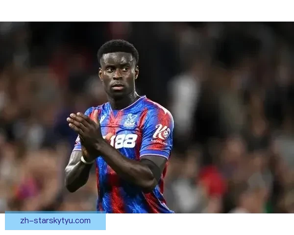 格伊致谢水晶宫斯通斯英队大哥