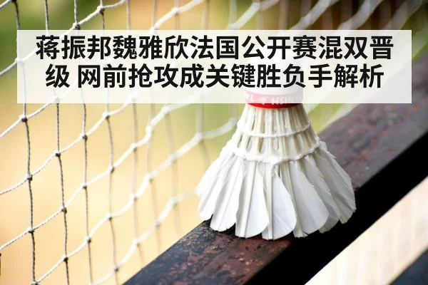 badminton net shot close up
